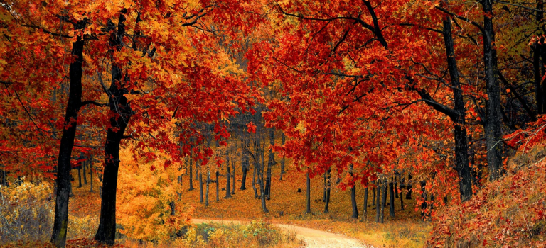 Vorschau – Herbstprogramm